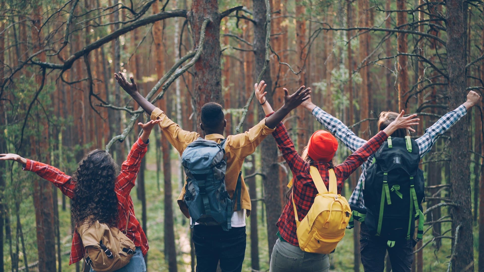 Ormanda grup trekkingi